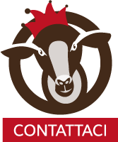 Contattaci